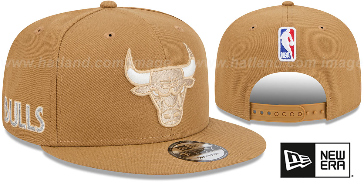 bulls-24-25-alternate-city-  display picture 2
