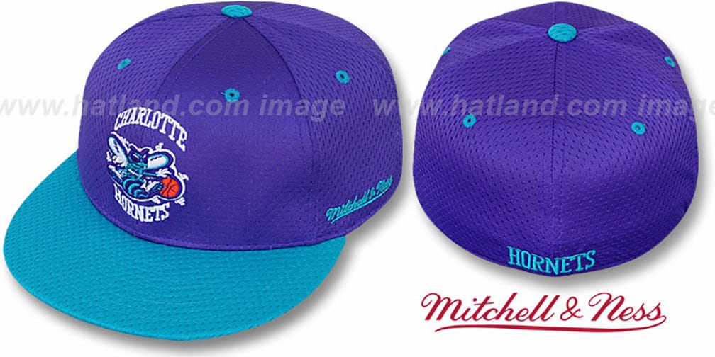 hornets-2t-bp-mesh-purple-teal