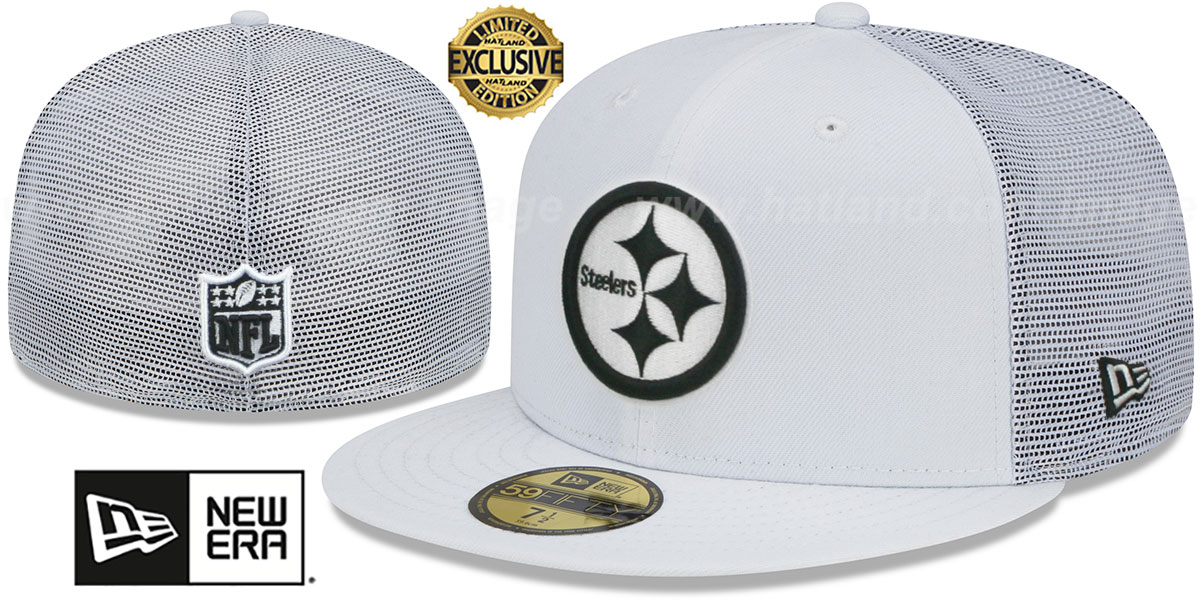 nike dri fit steelers hat