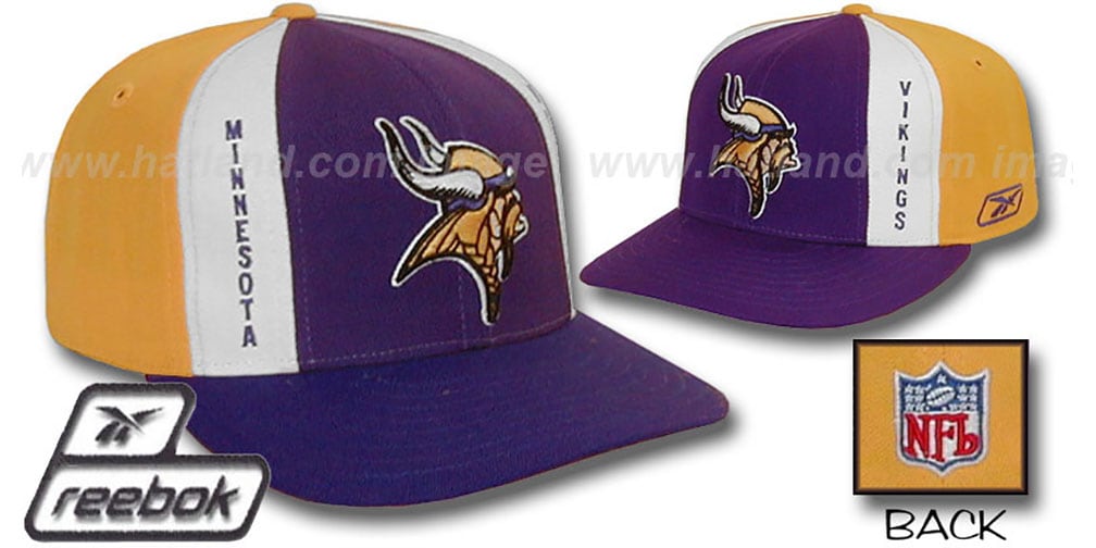 vikings-ajd-pinwheel-purple-