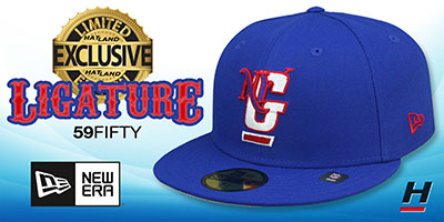 Warriors 'TEAM-BASIC STRAPBACK' Royal-Gold Hat by Pro Standard
