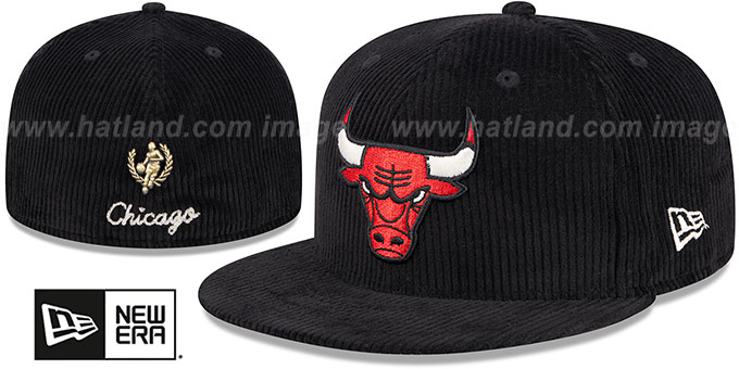 Fitted store bulls hat