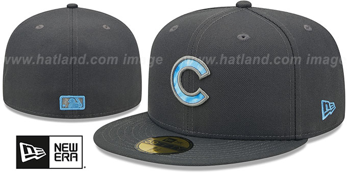 cubs father's day hat