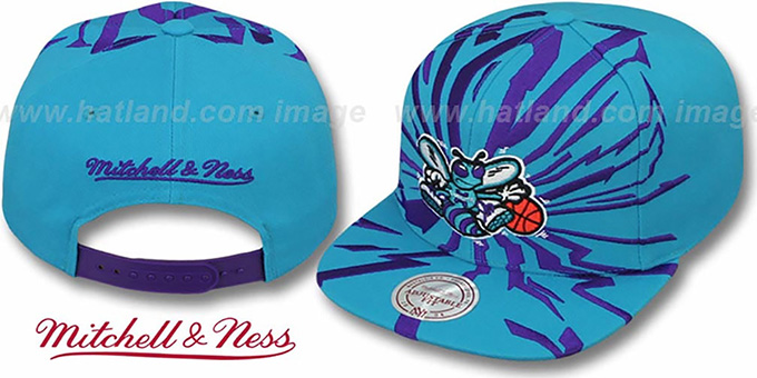 mitchell and ness charlotte hornets hat