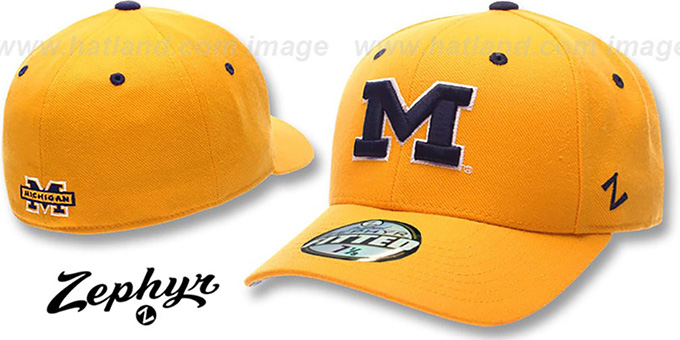 michigan fitted hat