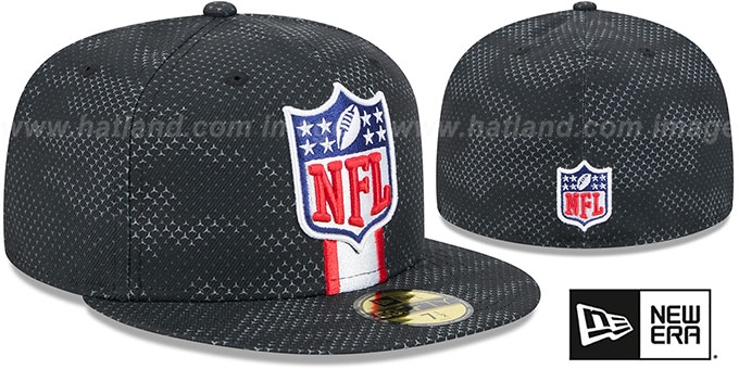 New era NFL 2024 Logo Fitted hat M/L