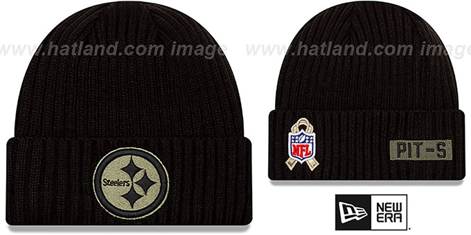 salute to service steelers hat