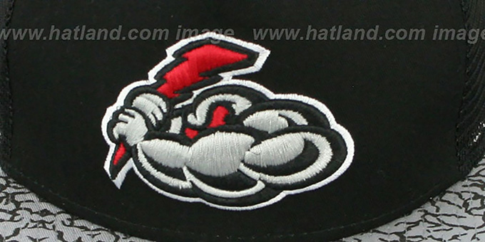 Trenton thunder hot sale fitted hats