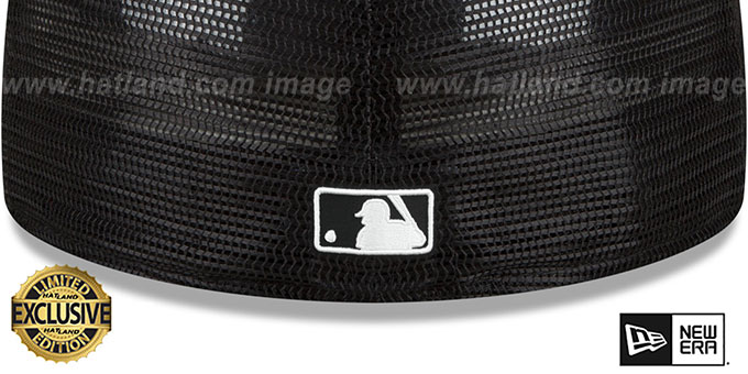 【NEW ERA】BLUEJAYS BATTING PRACTICE Toronto Blue Jays 2024-25 BATTING PRACTICE Fitted Hat