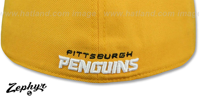 pittsburgh penguins fitted hat