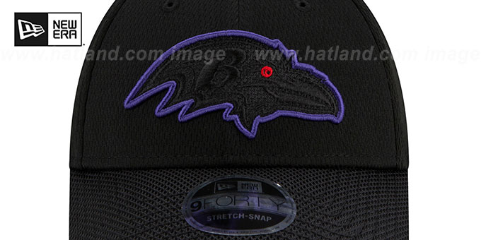 Baltimore Ravens 2021 NFL SIDELINE ROAD 