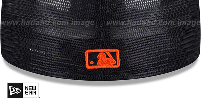 Houston Astros 2022 BATTING PRACTICE 