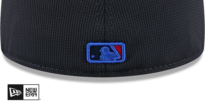 Toronto Blue Jays 2025 CITY CONNECT BATTING PRACTICE Fitted Hat