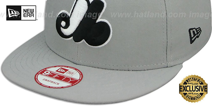 Montreal Expos COOP TEAM-BASIC SNAPBACK Grey-Black Hat
