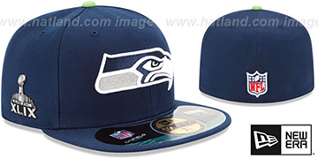 NFL store Superbowl XLIX Collectors Hat