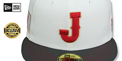 Japan 2023 WBC GAME White-Grey Hat by New Era